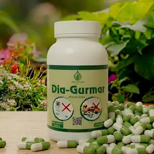 Dia Gurmar Diabetes Capsule 60 pcs = 1 box x 1